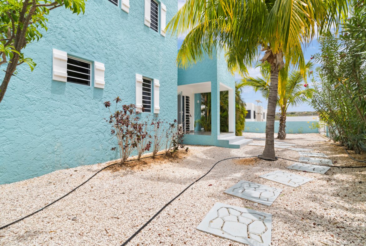 ridge true media culture 04