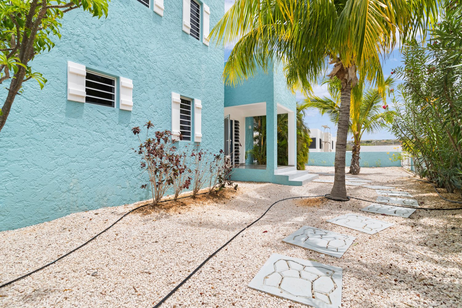 ridge true media culture 04