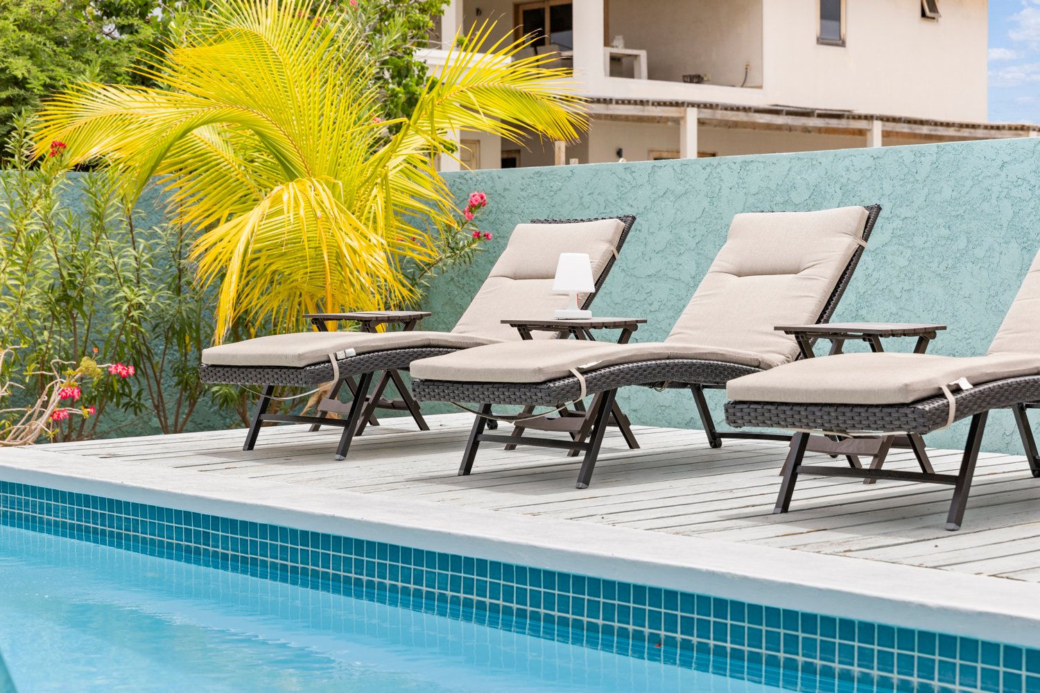 ridge true media culture 51