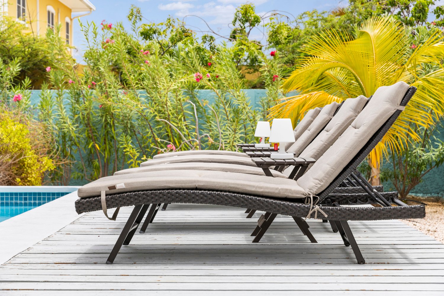 ridge true media culture 52