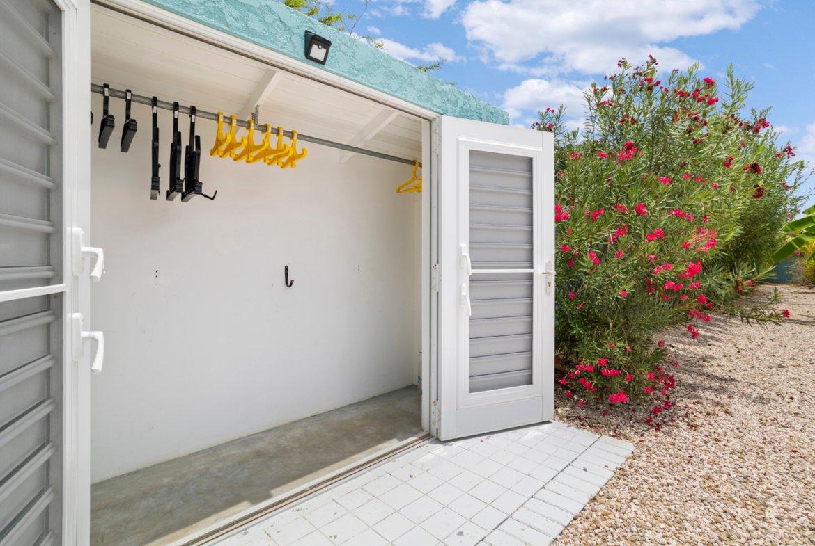 ridge true media culture 62