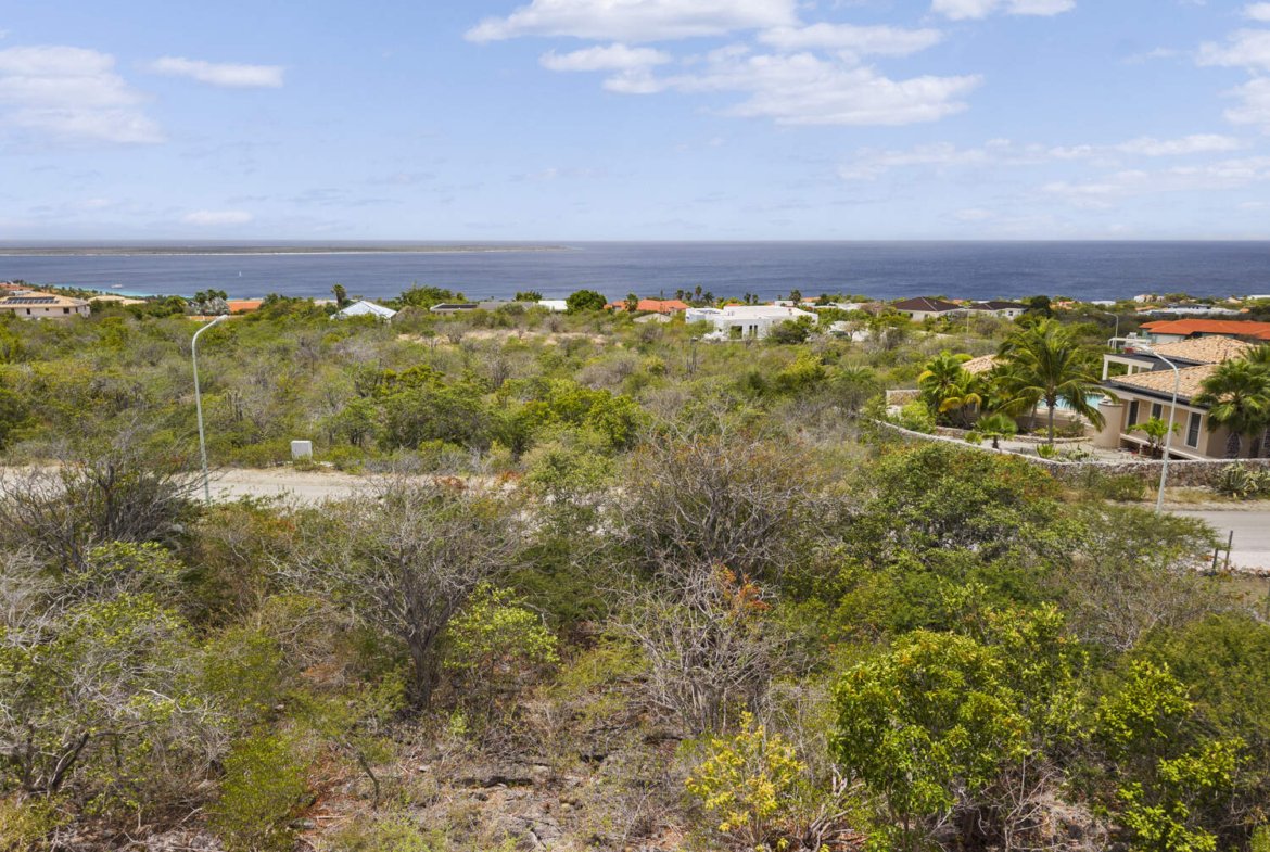 sabadeco crown terrace 10 bonaire true media culture 14
