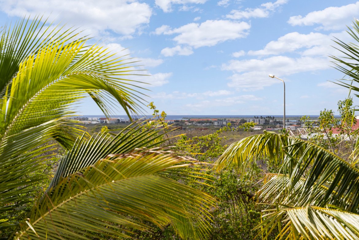 santa barbara true media culture 27