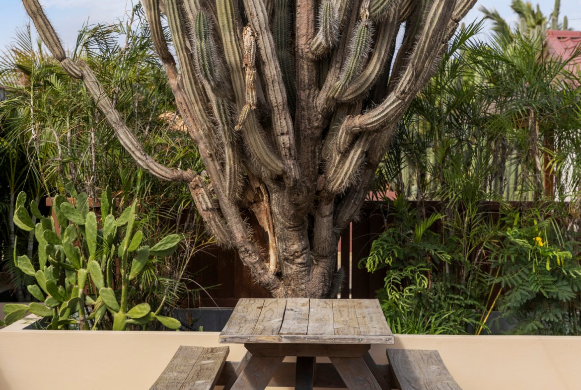 sur salinja true media culture 31