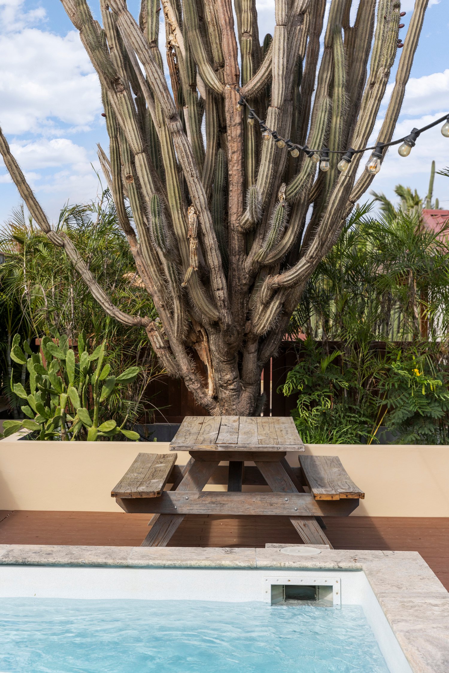 sur salinja true media culture 31