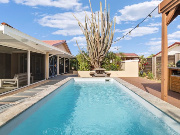 sur salinja true media culture 35