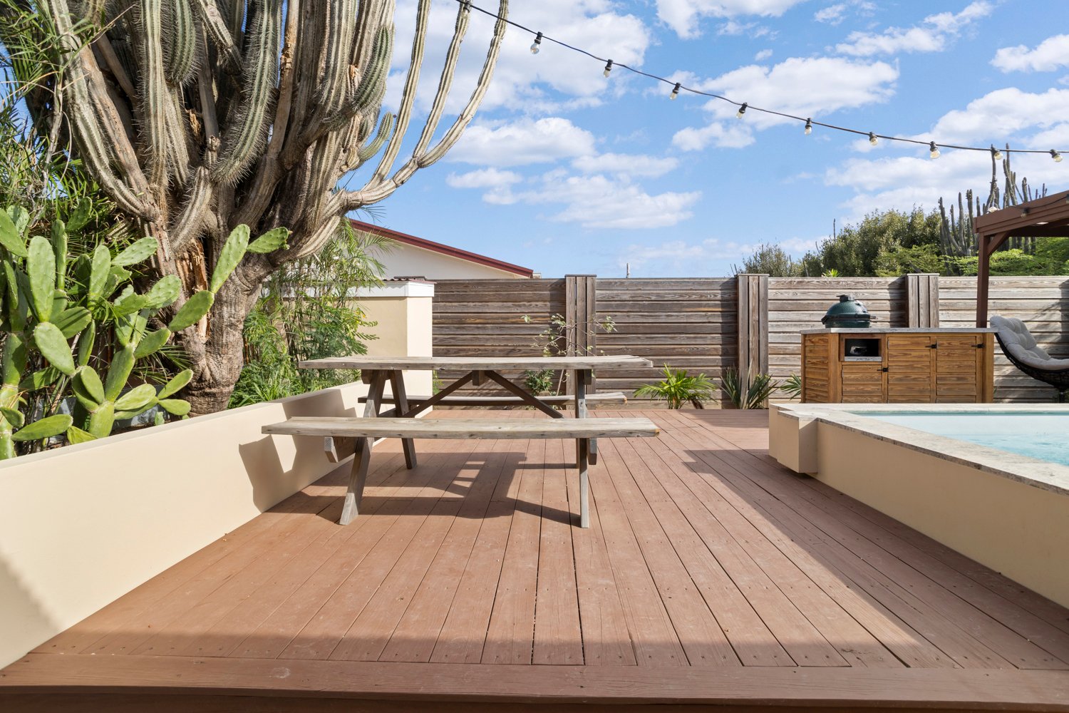 sur salinja true media culture 40