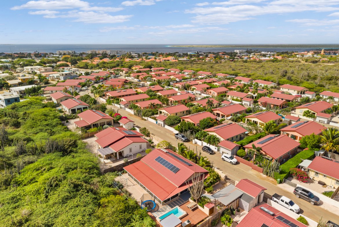 sur salinja true media culture 48