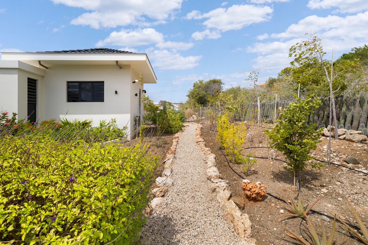 terrace true media culture 53