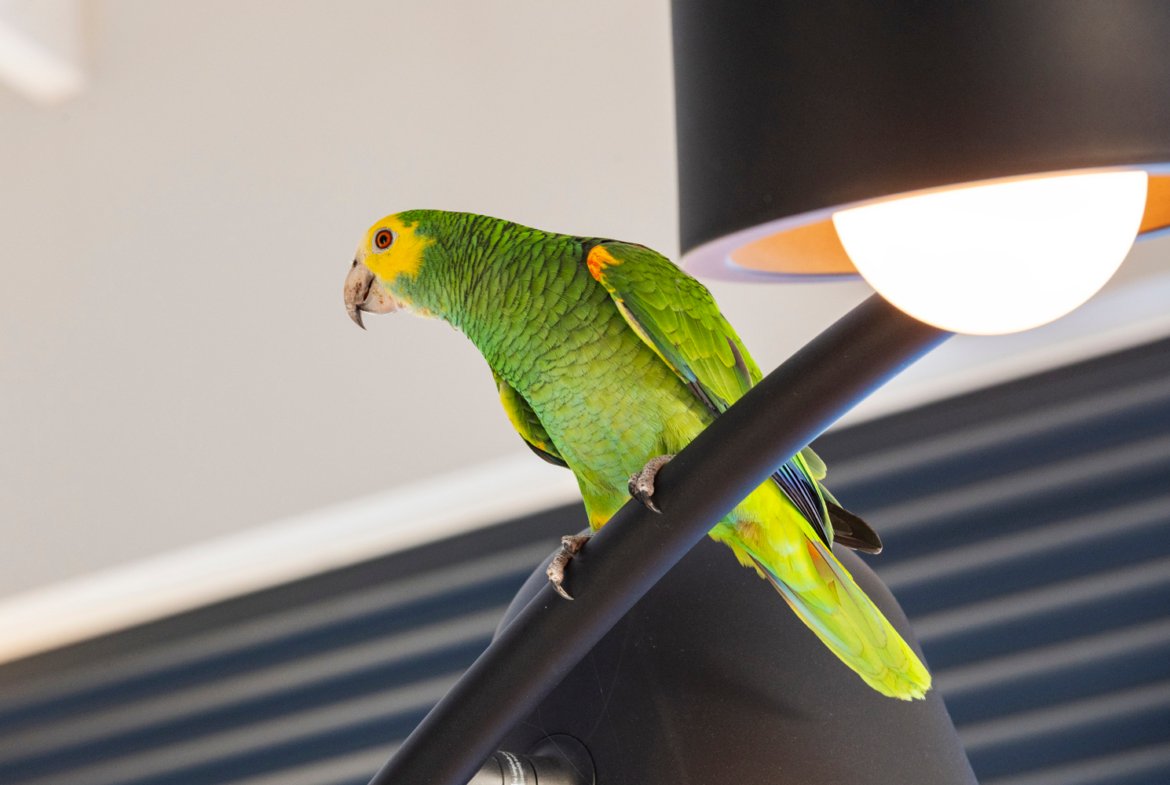 terrace twilight true media culture 01