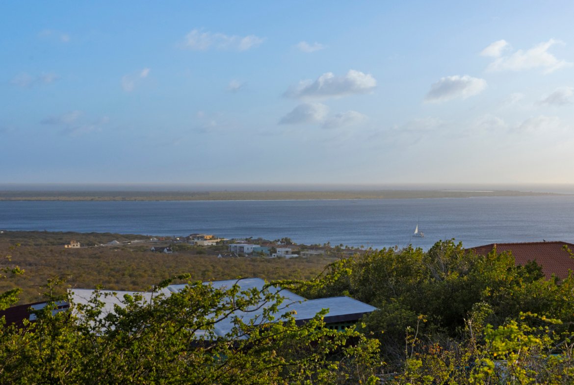 terrace twilight true media culture 04