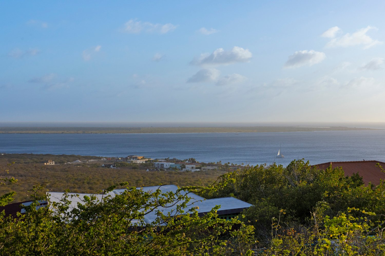 terrace twilight true media culture 04