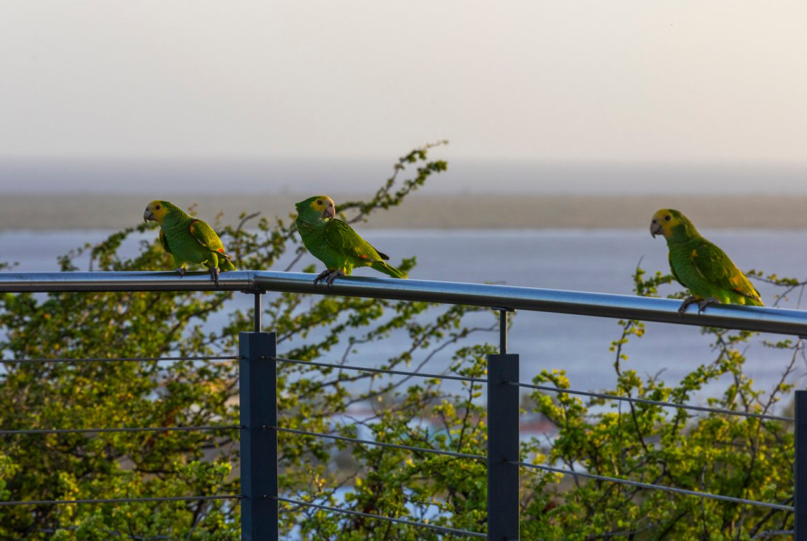 terrace twilight true media culture 06