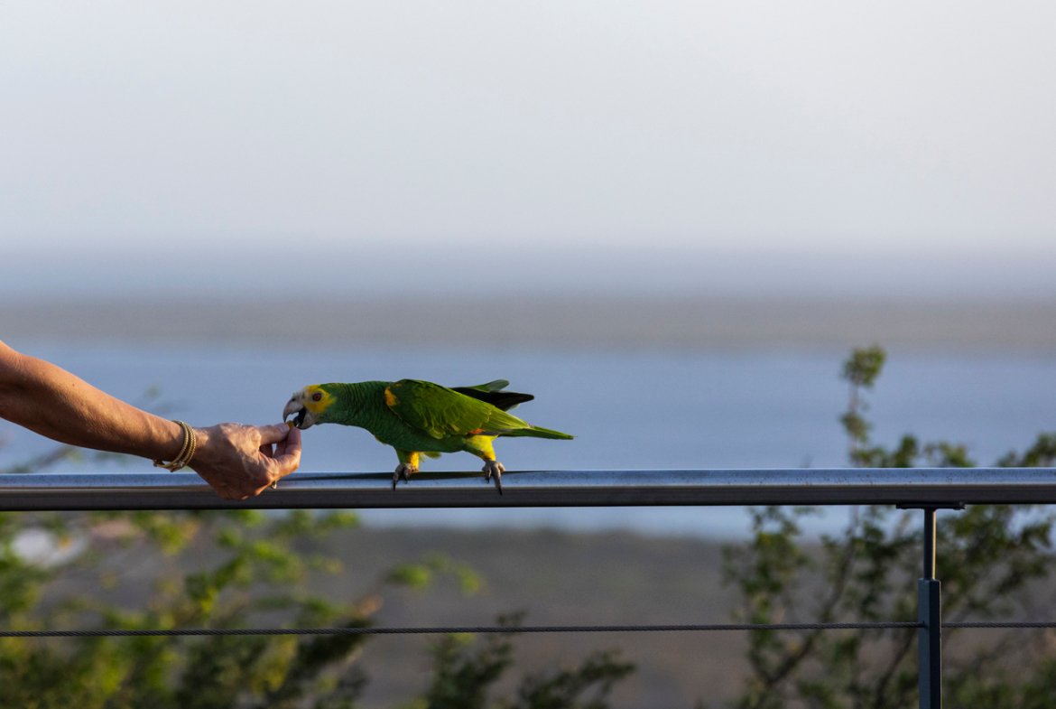 terrace twilight true media culture 07