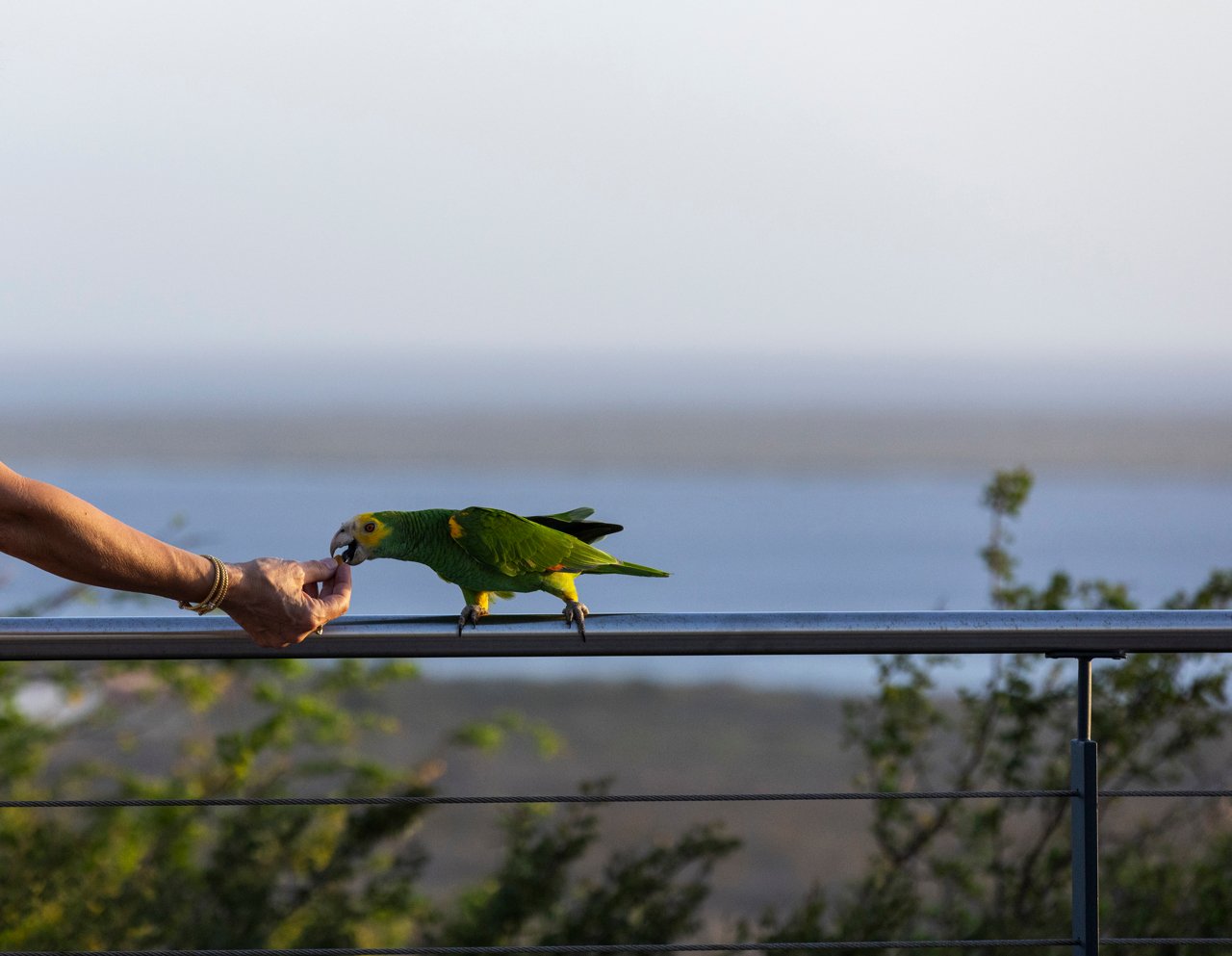 terrace twilight true media culture 07